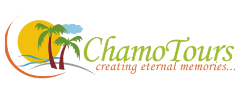 Chamo Tours logo